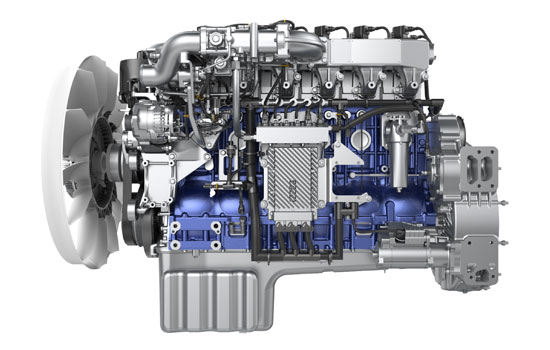 伟德国际(victor1946)官方网站-Officials Website