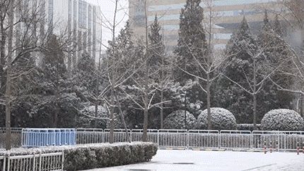 伟德国际(victor1946)官方网站-Officials Website